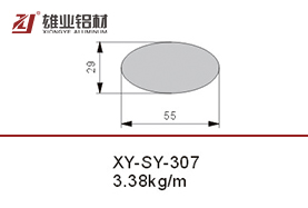 XY-SY-307